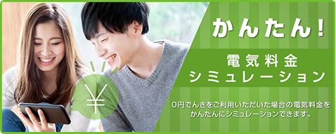 電気料金シミュレーション